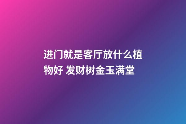 进门就是客厅放什么植物好 发财树金玉满堂